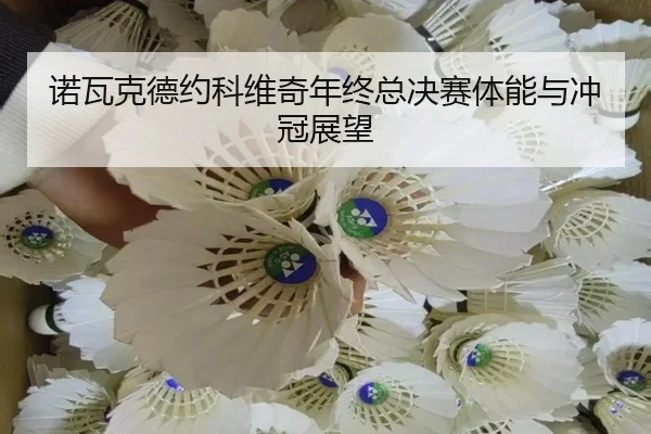 诺瓦克德约科维奇年终总决赛体能与冲冠展望 | feifansports